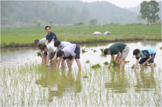 与农民同劳动.jpg